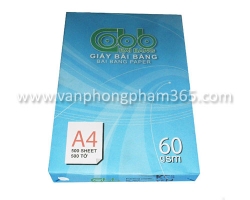 Giấy Bãi Bằng A4 DL60